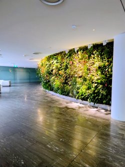 IMG_20241008_093932952_HDR_AE~2.jpg IMG_20241008_093932952_HDR_AE~2.jpg