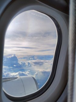 IMG_20241008_201922350_HDR_AE.jpg IMG_20241008_201922350_HDR_AE.jpg