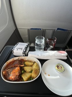 IMG_0381.jpeg IMG_0381.jpeg