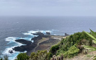 IMG_2855.jpeg IMG_2855.jpeg