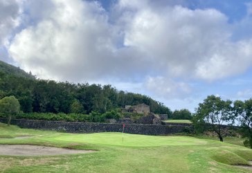 IMG_2849.jpeg IMG_2849.jpeg