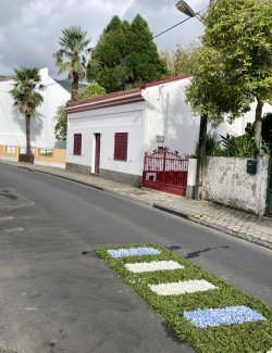 IMG_2865.jpeg IMG_2865.jpeg