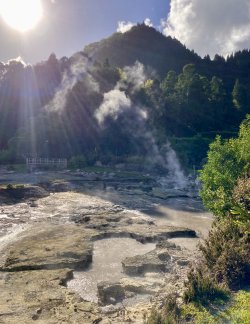 IMG_2869.jpeg IMG_2869.jpeg