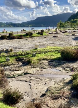 IMG_2870.jpeg IMG_2870.jpeg