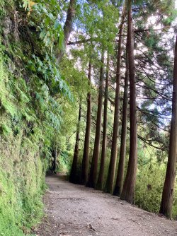 IMG_2872.jpeg IMG_2872.jpeg