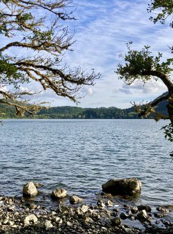 IMG_2876.jpeg IMG_2876.jpeg