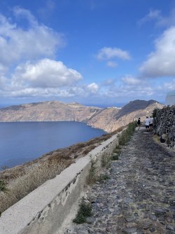 IMG_0990.jpeg IMG_0990.jpeg