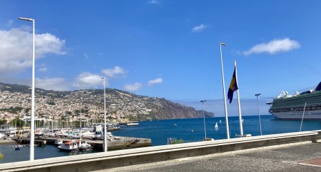 IMG_2943.jpeg IMG_2943.jpeg