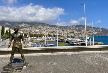 IMG_2942.jpeg IMG_2942.jpeg