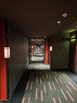 20241005_075249.jpg 20241005_075249.jpg