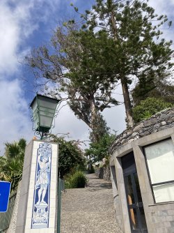 IMG_2929.jpeg IMG_2929.jpeg