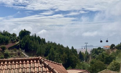 IMG_2931.jpeg IMG_2931.jpeg