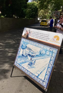 IMG_2927.jpeg IMG_2927.jpeg