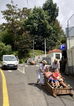 IMG_2920.jpeg IMG_2920.jpeg