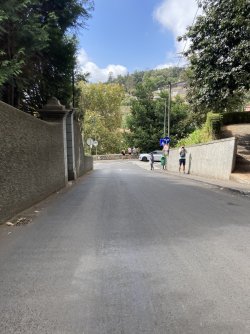 IMG_2935.jpeg IMG_2935.jpeg