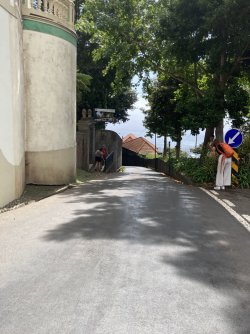 IMG_2936.jpeg IMG_2936.jpeg