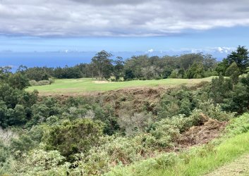 IMG_2906.jpeg IMG_2906.jpeg