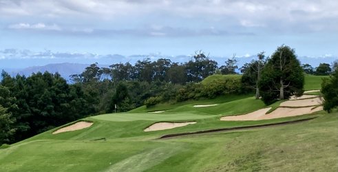 IMG_2910.jpeg IMG_2910.jpeg