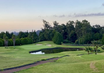 IMG_2917.jpeg IMG_2917.jpeg