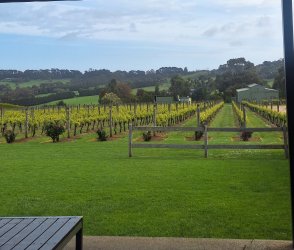 20241011_154947.jpg 20241011_154947.jpg