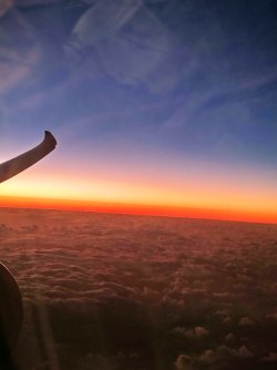 IMG_20231007_183345_HDR-EFFECTS.jpg IMG_20231007_183345_HDR-EFFECTS.jpg