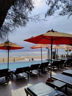 IMG_20241014_090057211_HDR_AE.jpg IMG_20241014_090057211_HDR_AE.jpg