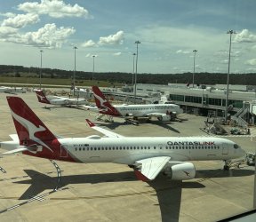 IMG_4589.jpeg IMG_4589.jpeg