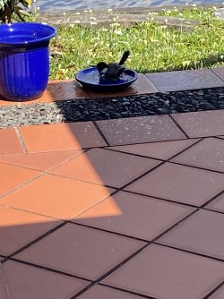 IMG_1056.jpeg IMG_1056.jpeg