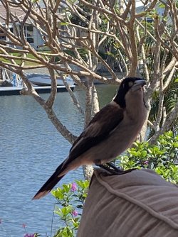 IMG_0984.jpeg IMG_0984.jpeg