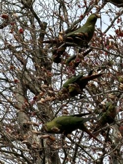 IMG_4120.jpeg IMG_4120.jpeg