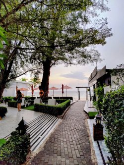 IMG_20241013_073331453_HDR_AE~2.jpg IMG_20241013_073331453_HDR_AE~2.jpg