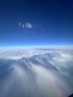 IMG_9328.jpeg IMG_9328.jpeg