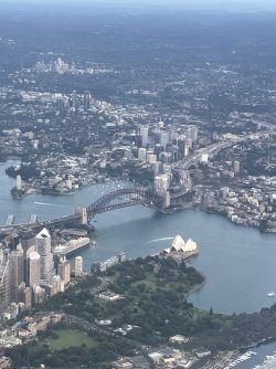 IMG_9323.jpeg IMG_9323.jpeg