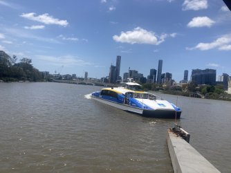 IMG_5917.jpeg IMG_5917.jpeg