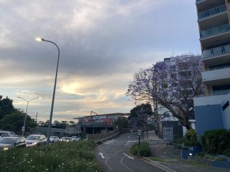 IMG_5984.jpeg IMG_5984.jpeg