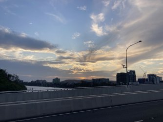 IMG_5983.jpeg IMG_5983.jpeg