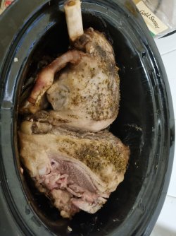 20241017_155435.jpg 20241017_155435.jpg