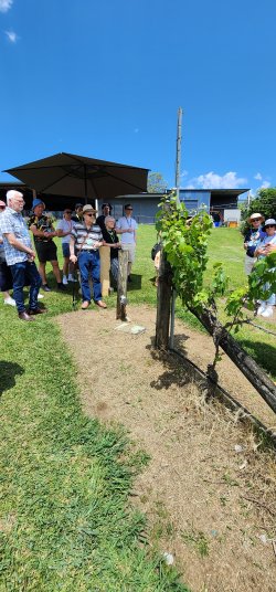 20241019_103240.jpg 20241019_103240.jpg