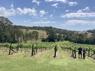 IMG_6043.jpeg IMG_6043.jpeg