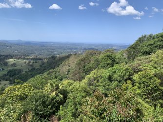 IMG_1992.jpeg IMG_1992.jpeg