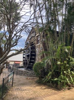 IMG_6095.jpeg IMG_6095.jpeg