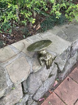 IMG_6093.jpeg IMG_6093.jpeg