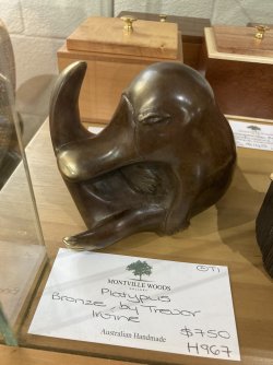 IMG_6070.jpeg IMG_6070.jpeg