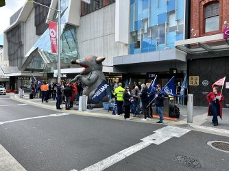 IMG_5913.jpeg IMG_5913.jpeg