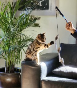 IMG_0936.jpeg IMG_0936.jpeg