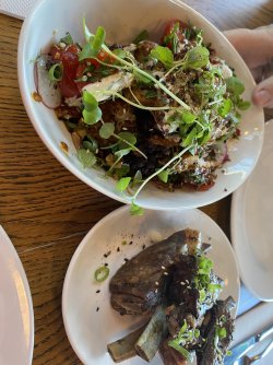 IMG_1186.jpeg IMG_1186.jpeg