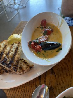 IMG_1187.jpeg IMG_1187.jpeg