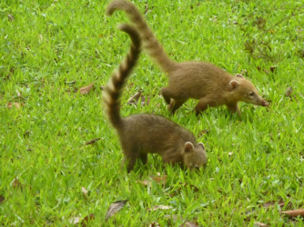 1729840166611.png 1729840166611.png