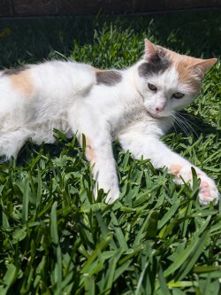 1000022623.jpg 1000022623.jpg