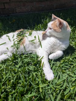 1000022624.jpg 1000022624.jpg